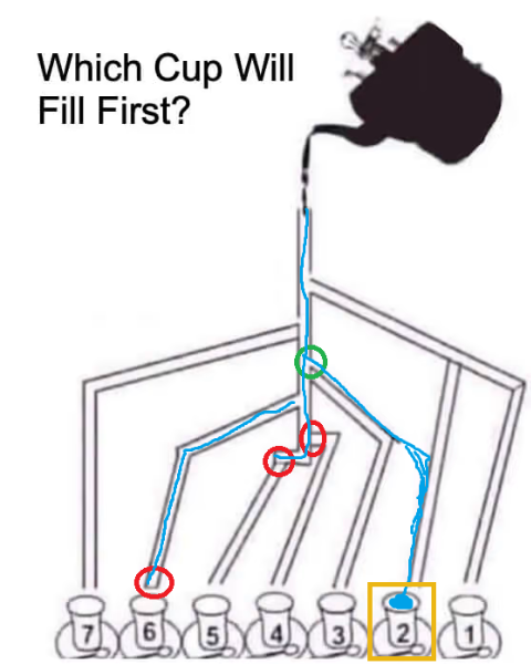 maze with solution cup 2